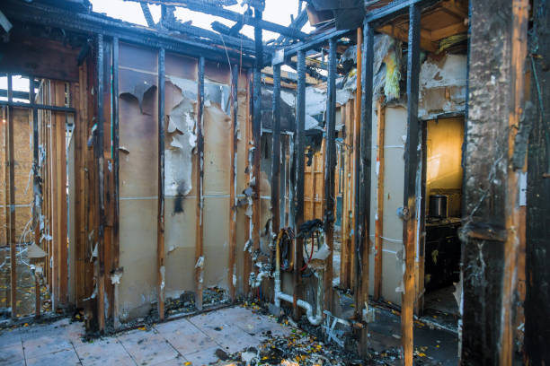 Professional Fire Damage Repair technician working in Sauk Rapids, MN
